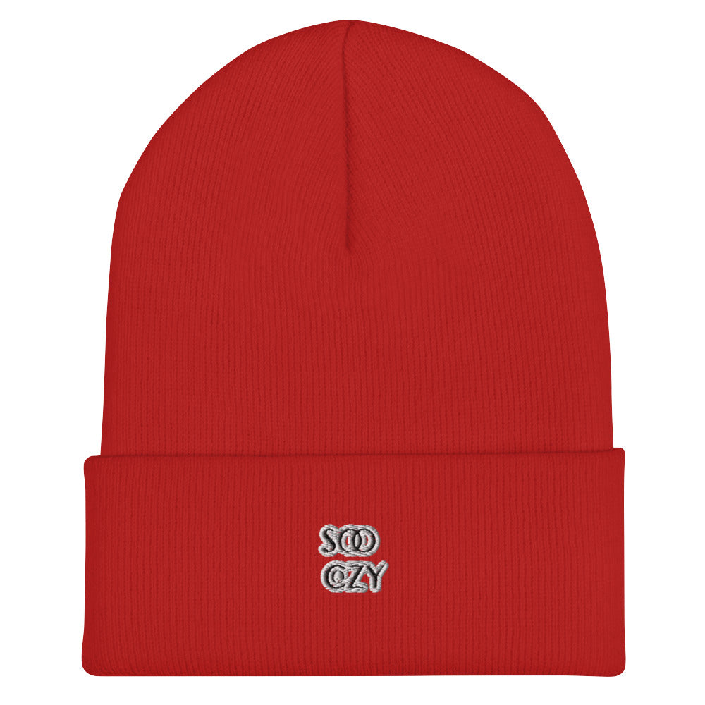 COZY STANDARD BEANIE