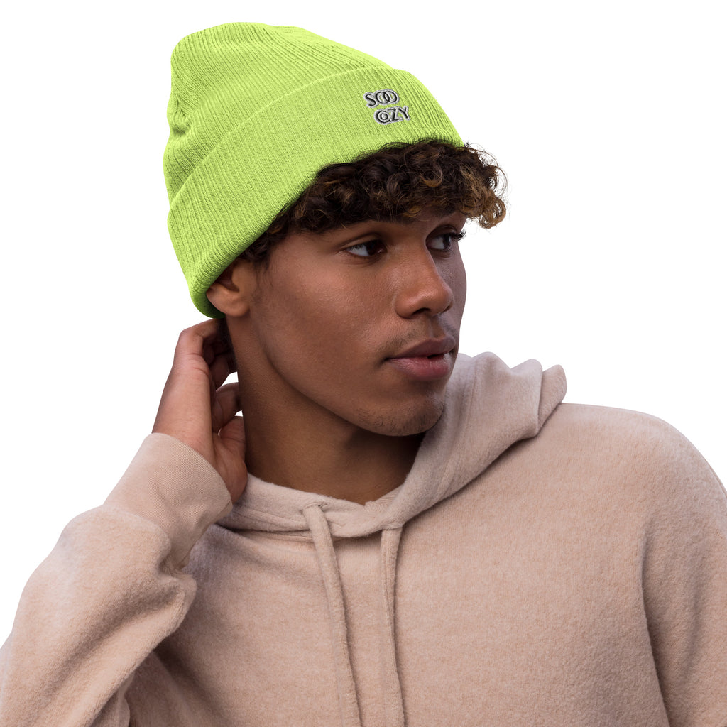 COZY RIBBED BEANIE