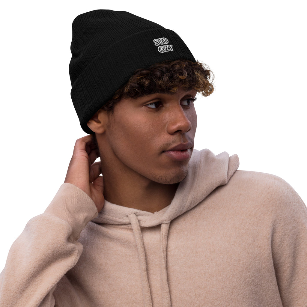 COZY RIBBED BEANIE