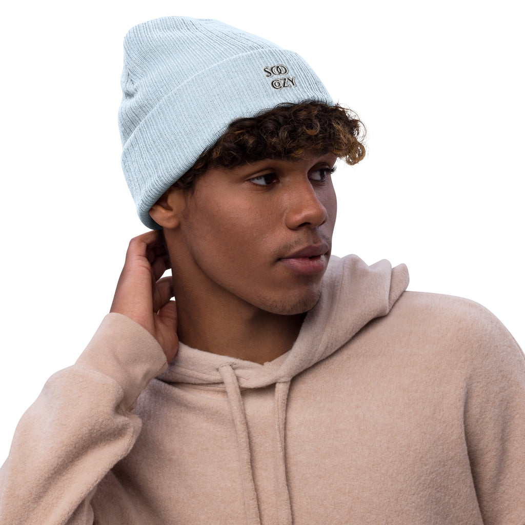 COZY RIBBED BEANIE