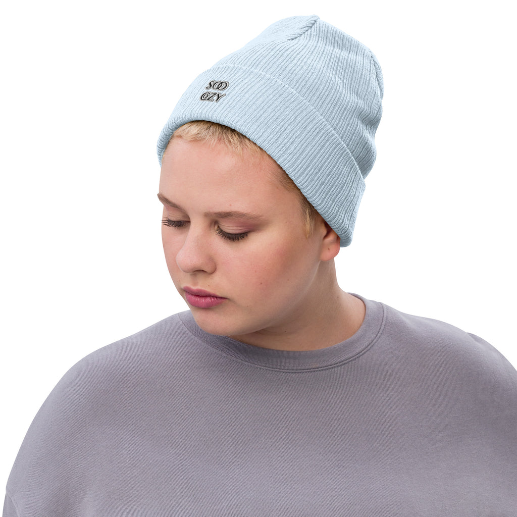 COZY RIBBED BEANIE