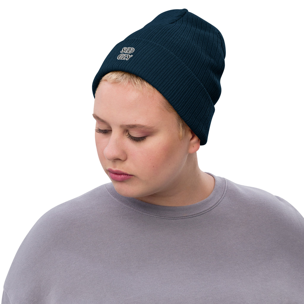 COZY RIBBED BEANIE
